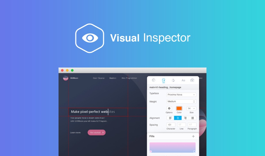 Visual Inspector