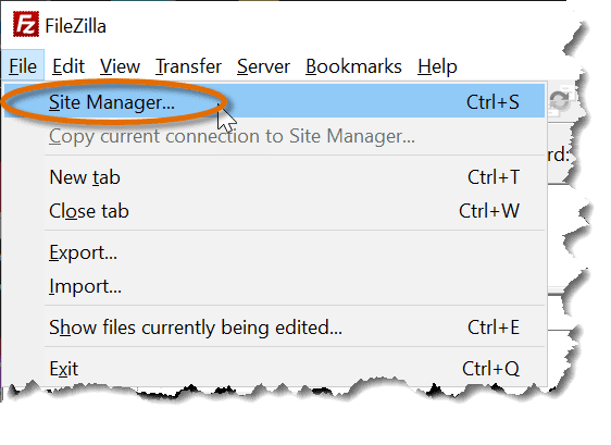 site manager in filezilla